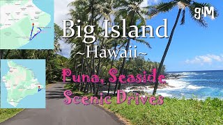 Puna Seaside  Hawaii Big Island Scenic DrivesHomes [upl. by Wilinski]