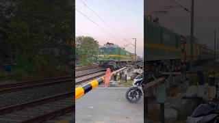 Teesta Torsa Express at Railgate shorts [upl. by Koran]