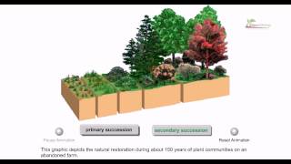 Ecological succession [upl. by Faria]