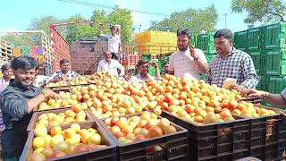 03112024 BAGEPALLI tomato market today Top Rate 420 [upl. by Atimad]