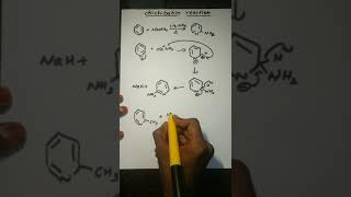 CHICHIBABIN REACTION WITH EXAMPLES [upl. by Yraek479]