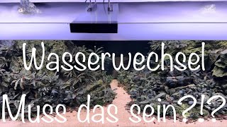 Wasserwechsel in Aquarien aquaristik aquarium aquascape [upl. by Clayborne937]