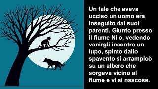 L’assassino  FAVOLE DI ESOPO  Voce e Videomaker M M Orlandi [upl. by Flora]