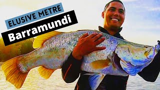 The Elusive Metre Barramundi  Stranger Tides Ep1 [upl. by Hoashis]