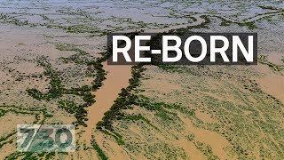 Lake Eyre’s biggest flood in nearly 50 years  730 [upl. by Isia]