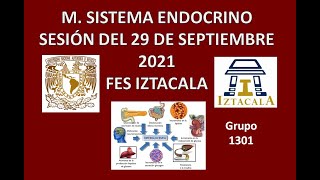 M Sistema Endocrino Sesión del Miércoles 29 de Septiembre del 2021 [upl. by Ahsenat212]