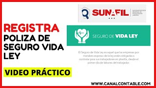 ✅ ¿CÓMO REGISTRAR POLIZA DE SEGURO VIDA LEY OBLIOGATORIO PARA LA EMPRESAS PRIVADAS🔥 [upl. by Liddle424]