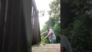 How to refill a outdoor pop fly trap [upl. by Ardiek870]