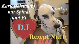 Kochen für den HundHundefutter selber machenKartoffelstampf mit Spinat und EiRezept Nr10 [upl. by Dora]