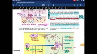 Hepatologylecture04Davidson 24th edition [upl. by Sothena]