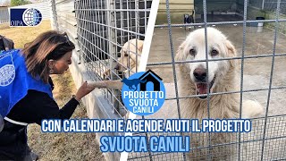 CON IL CALENDARIO E L’AGENDA OIPA 2024 AIUTI IL PROGETTO “SVUOTA CANILI” DELL’OIPA DI NAPOLI [upl. by Cottrell578]