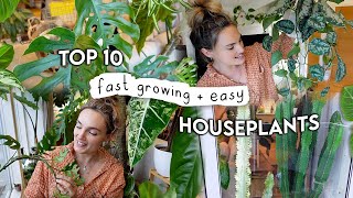 10 Fast Growing EASY Indoor Plants 🌿 Easiest  Fastest Growing Houseplants [upl. by Malchus591]