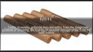 Gelignite Top  5 Facts [upl. by Anisah493]