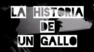 PELIGRO 1  LA HISTORIA DE UN GALLO  DaLowBeatz EN LA INSTRUMENTAL  ZONADEPELIGRO CONTROLA [upl. by Gnuy]