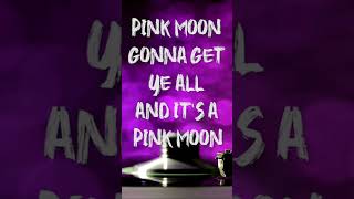 Nick Drake  Pink Moon TestoLyrics [upl. by Orly]