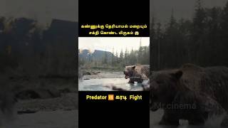 Prey predator vs bear fight வீடியோவ கடைசி வரை பாருங்க shorts shortsfeed preymoviereviewpredator [upl. by Ainitsirc113]