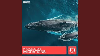 Migrations Extended Mix [upl. by Kaiulani]