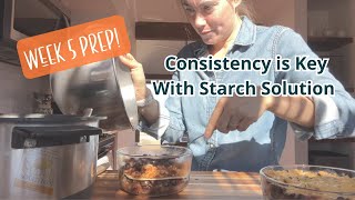 Consistency is Key with Starch Solution Week 5 Prep [upl. by Banebrudge]