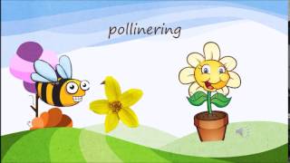 pollinering [upl. by Ahsoym648]