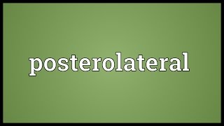 Posterolateral Meaning [upl. by Fee]