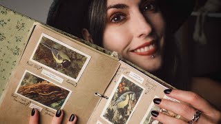 ASMR ✨ My Book of Shadows Tour 🔮 Soft Spoken [upl. by Betta]