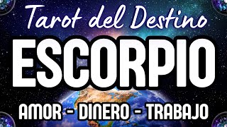 ESCORPIO ♏️ ESTÁS PERDIENDO MUCHA FELICIDAD POR TU TERQUEDAD❗ MÍRALO❗Tarot del Destino escorpio [upl. by Atat]