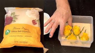 How To Dry Flowers Fast Using Wisedry Silica Gel Crystals [upl. by Ravaj]