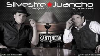 Silvestre Dangond  Cantinero Con Letra  Vallenato 2010 [upl. by Laertnom]