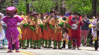 20240420 String band in Haddonfield number 2 MVI 5017 [upl. by Barrada669]