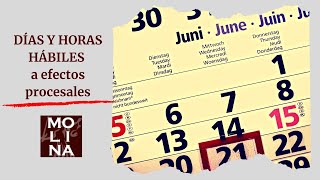 ✨ Qué DÍAS y HORAS son【 HÁBILES 】procesalmente [upl. by Jenelle]