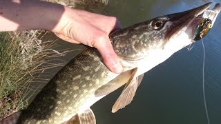 Pêche du brochet aux leurres durs GoPro [upl. by Yespmed]