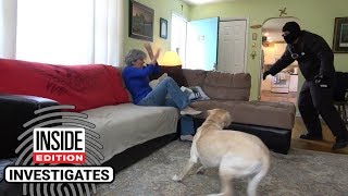 Dogs Tested to See Whether They’d Defend Owner During Home Invasion [upl. by Sedecram824]