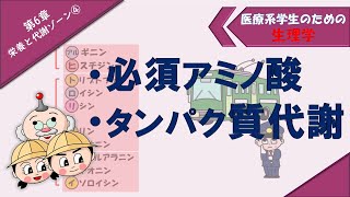 生理学 栄養と代謝ゾーン④ 「必須アミノ酸」「タンパク質代謝」 [upl. by Millford2]