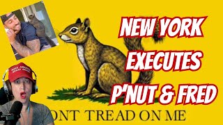 WTF New York Executes Pets Now Remembering PNut and Fred [upl. by Hilario]