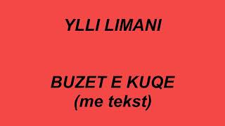 Ylli Limani  Buzet e kuqe  me tekst  lyrics [upl. by Alracal]