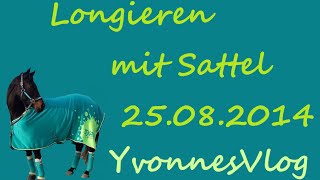 Longieren mit Sattel [upl. by Fein]