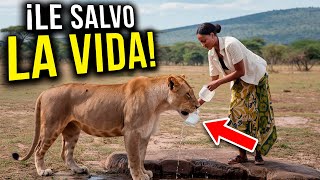 10 Animales PELIGRO salvados IN EXTREMIS [upl. by Anitsuga892]