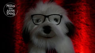 ASMR  Your Dog listens and Comforts You After A Bad Date WORST DATE EVER [upl. by Nnylear]