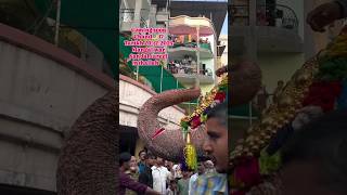 Dulha Bane Shahealam shahealammela202425 VAKILVLOGS [upl. by Benia]