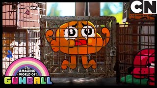 El Origen  El Increíble Mundo de Gumball en Español Latino  Cartoon Network [upl. by Aeriela524]