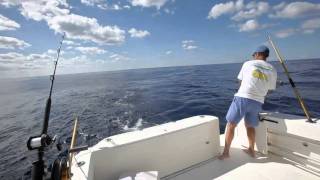 Bimini Big Wahoo Caught [upl. by Sawyer]