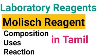 Molisch Reagent Composition and uses in Tamil  LABORATORY REAGENT CHEMISTRY [upl. by Lamprey]