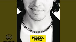 Pereza  Princesas Cover Audio [upl. by Rahas932]