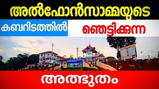 St Alphonsas Tombവിശുദ്ധ അൽഫോൺസാമ്മയുടെ കബറിടം [upl. by Gardol]