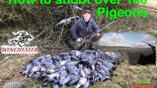 Best Pigeon shooting 2 How to shoot over 100 pigeons in a day [upl. by Parsons]