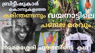 Chain tree WayanadChangala MaramKarinthandan SmarakamVinayakan filmWayanad malayalam travel vlog [upl. by Batha82]