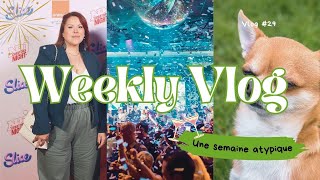 WEEKLY VLOG 29  JE VOUS PRESENTE [upl. by Egnalos]