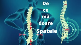 De ce mă doare spatele I kinetoterapie dureredespate [upl. by Larry]