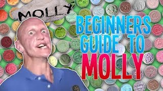 How to Do Molly  A Beginners Guide to MDMA [upl. by Inerney952]