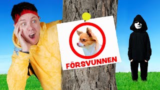 NÅGON STAL VÅR HUND [upl. by Wolford]